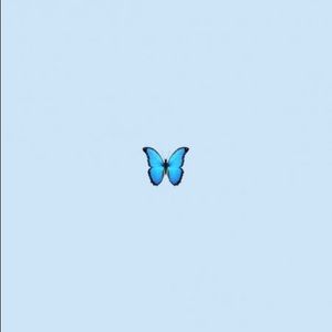 Meet your Posher, Abigail